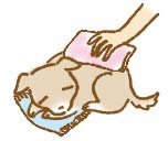 �y�b�g�̂��}���A�y�b�g�Α��̓��܂�