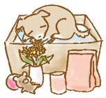 �y�b�g�Α��E���V�̃v���������߂� 