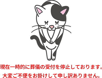 ��t��~�̂��m�点