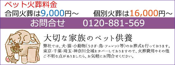 �y�b�g�Α�����