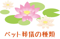 �y�b�g���V�̎��